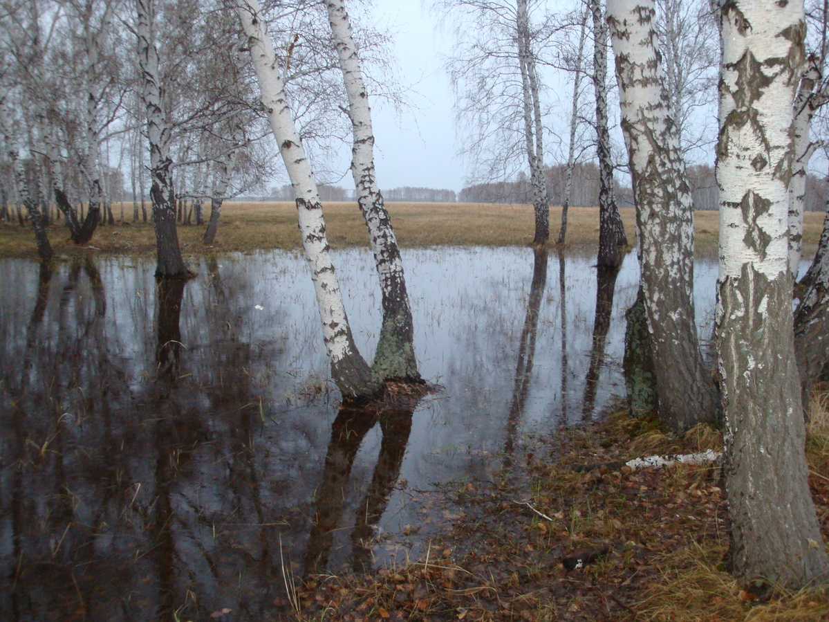 Последствия весны / Spring effects