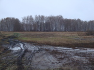 #6: Полевая дорога / Dirt field road