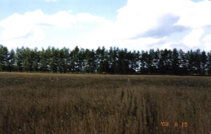 View to the West of the CP.