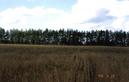 #3: View to the West of the CP.