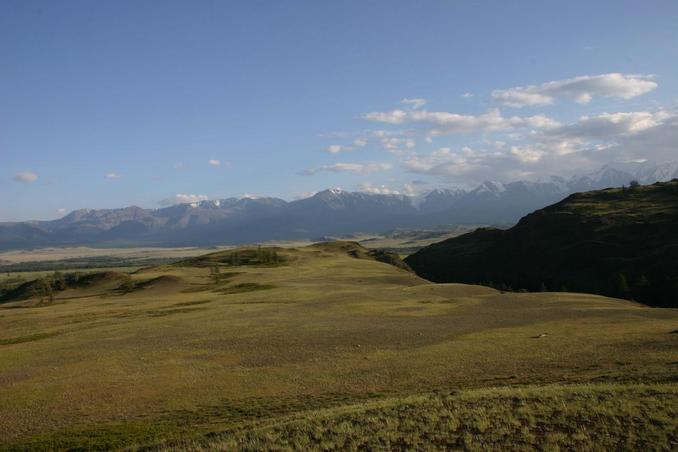 Курайская степь -- Kurayskaya steppe