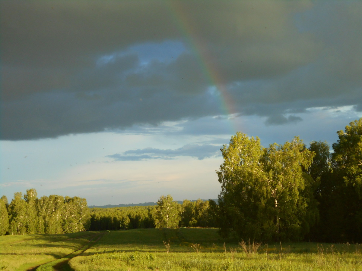 Местный пейзаж / Local landscape