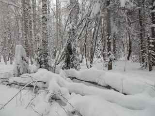 #1: На Север/North view