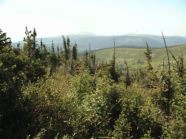 View from CP to the North.