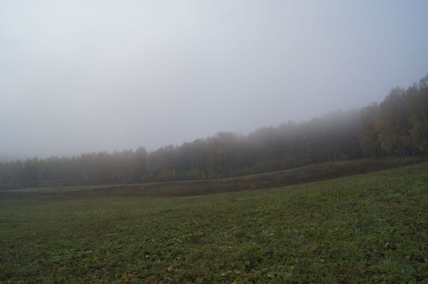 На юг / South view