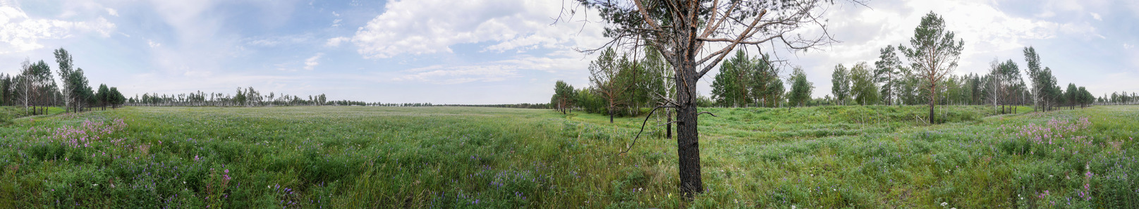 Panorama