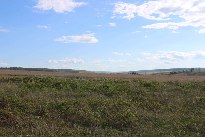 South