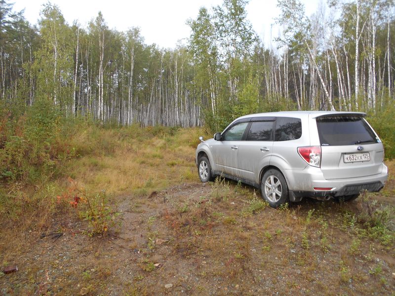 Начало просеки / Beginning of loggers' path