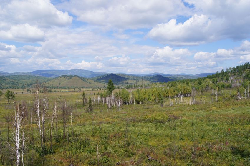 Местный пейзаж / Local scenery