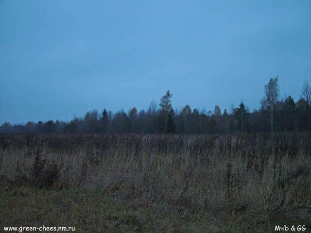 вид на север / a view to the north