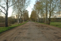 #7: Road