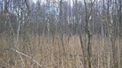 #2: East view