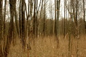 #3: South view