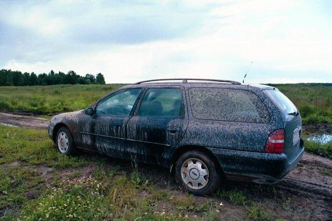 Dirty car