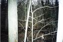 #7: Windbreak at the CP