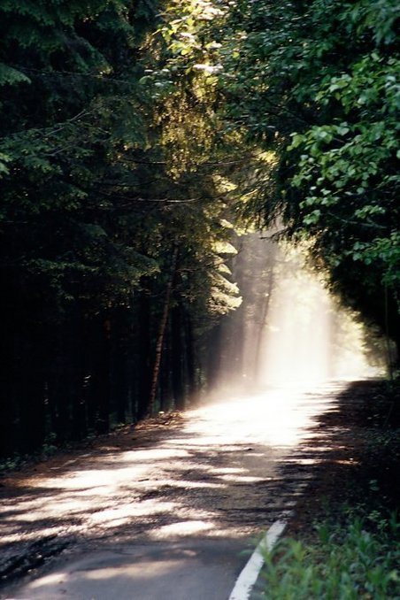 Sunny rain on the adjoining road