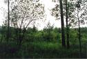 #4: View West