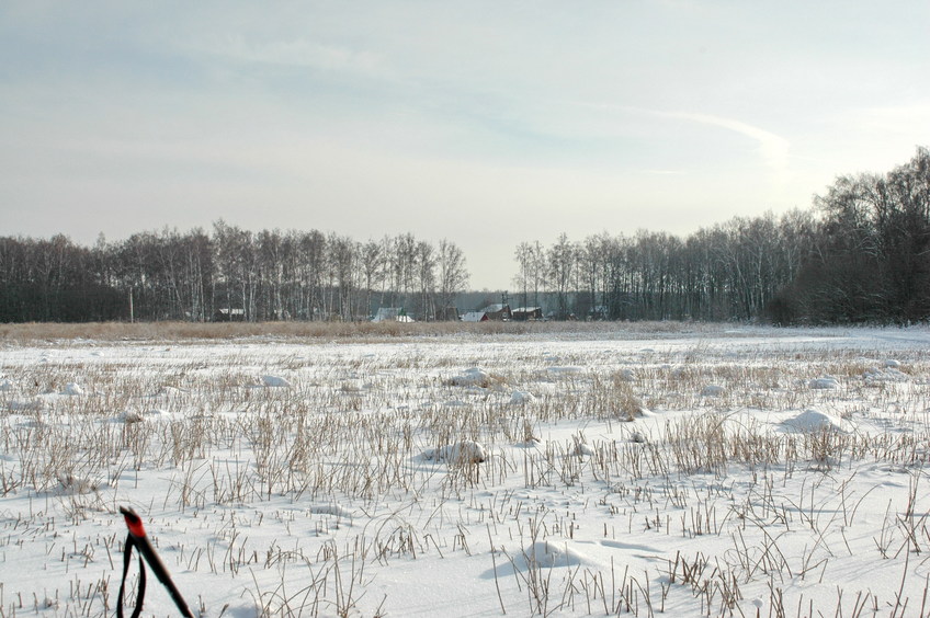 Dachas to the left of our course/Дачи слева по курсу