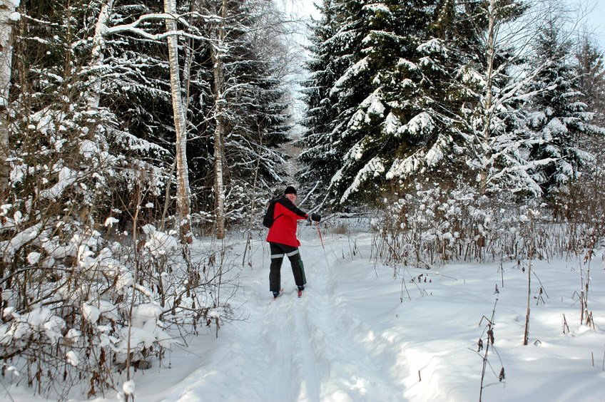 On ski track/На лыжне