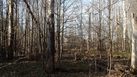 #2: View to the North / Вид на север