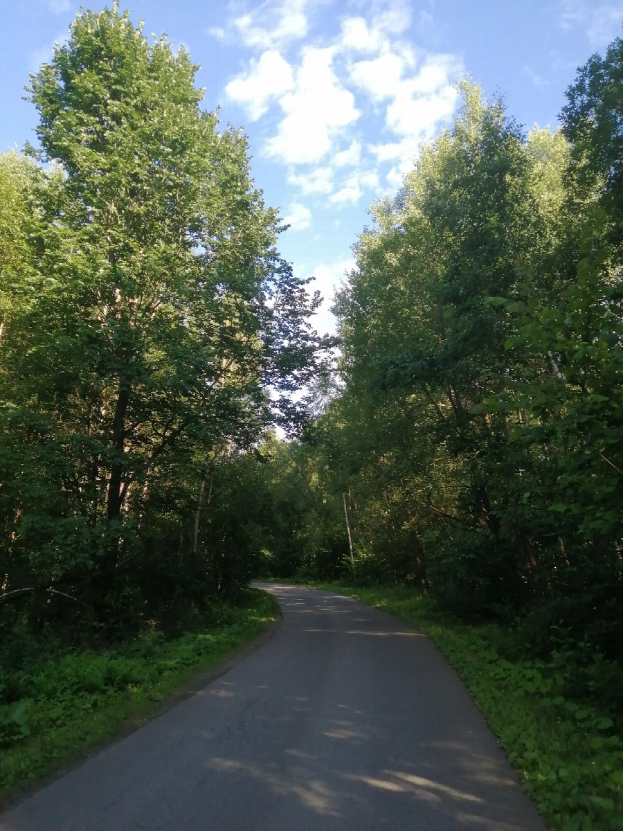 Road to Bereznya
