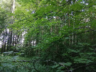 #4: View to the east