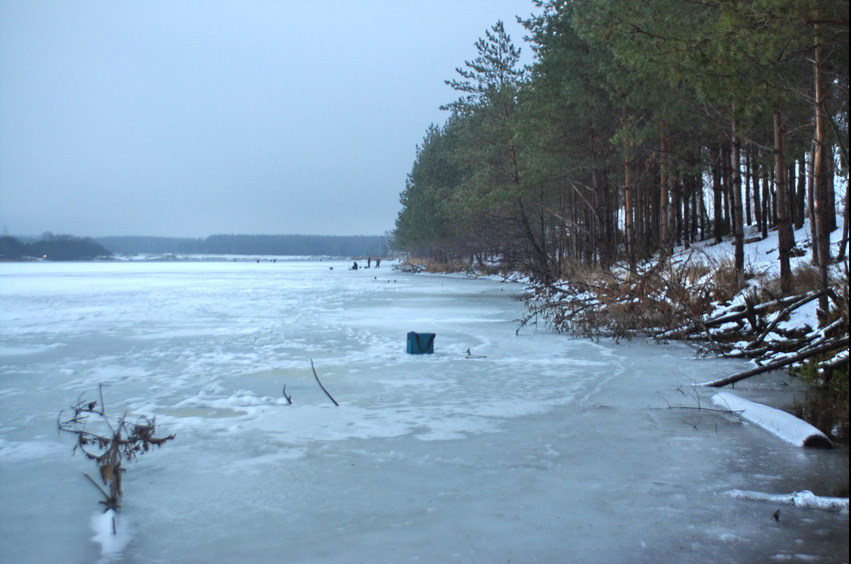 The pond