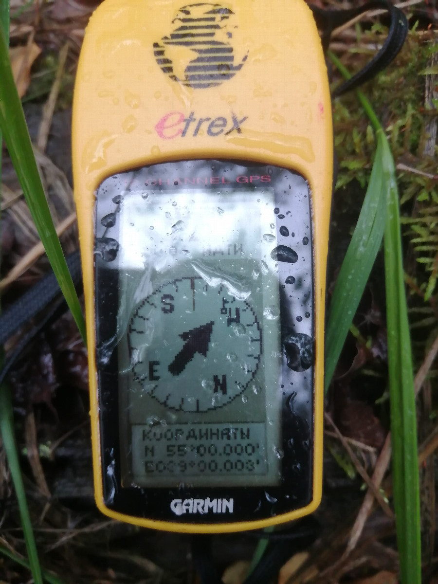 GPS reading