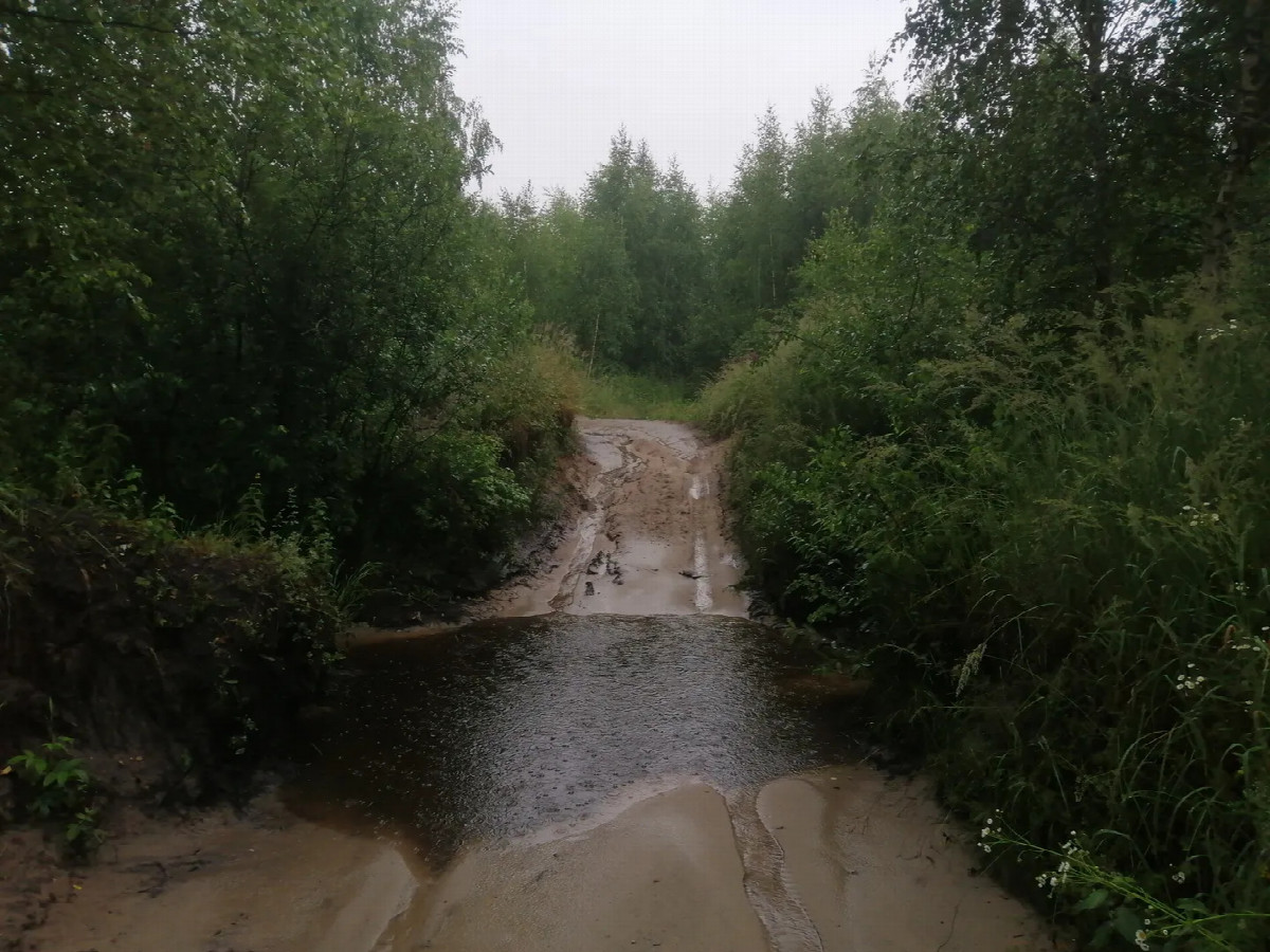 Road to the confluence