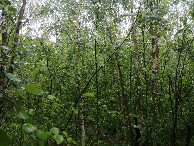 #2: View to the south