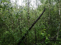 #3: View to the west