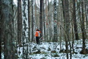 #2: North view