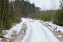 #6: Forest road / Лесная дорога