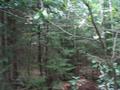 #3: North