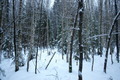 Visit #2: [06-Jan-14]
