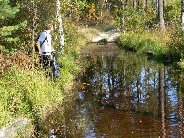 The road in Nizhegorodskaya oblast'