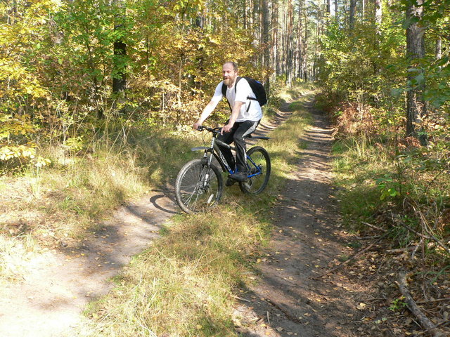 The road in Ryazanskaya oblast'