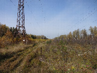#9: Along Power line