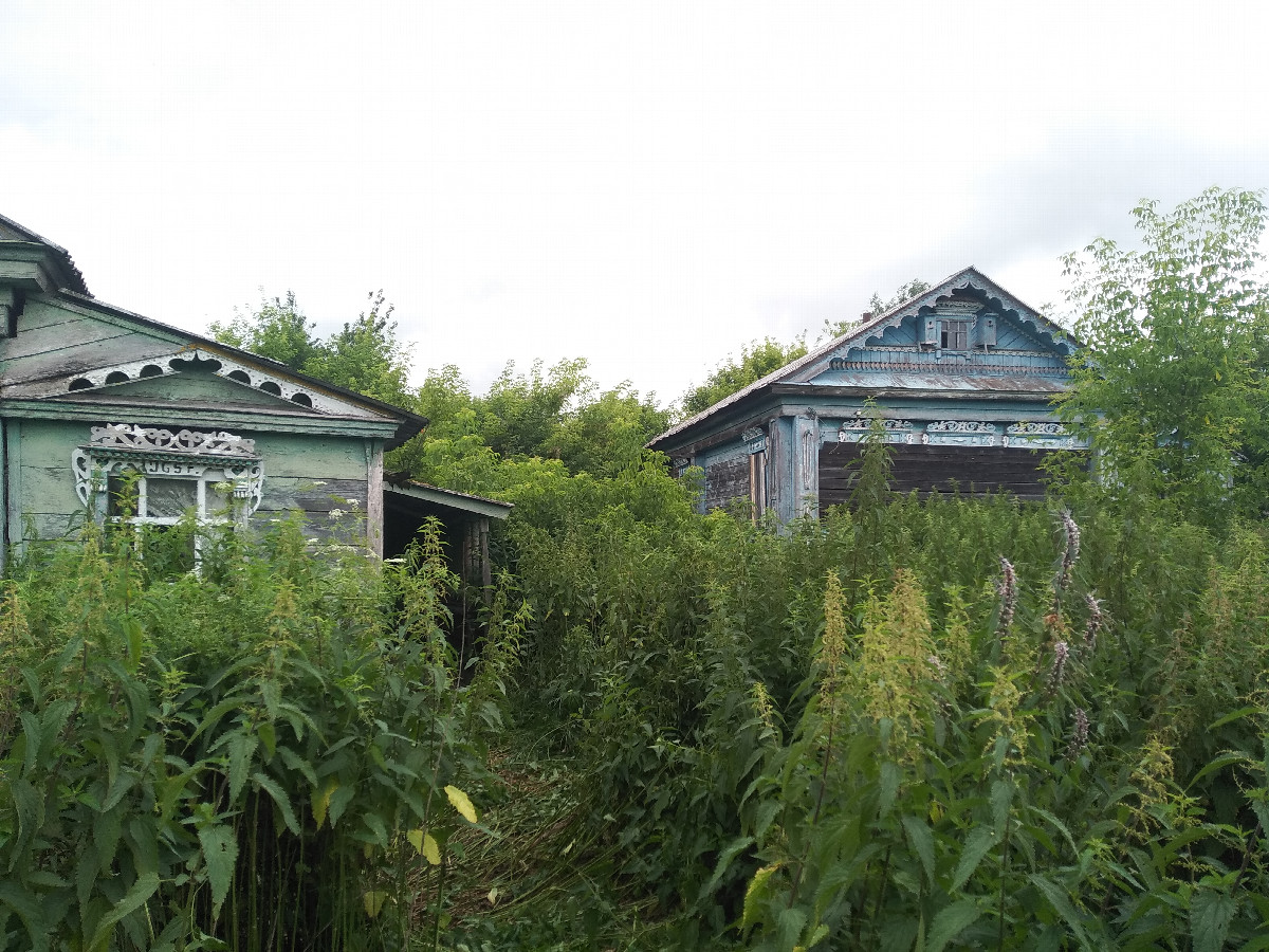 Through the nettle
