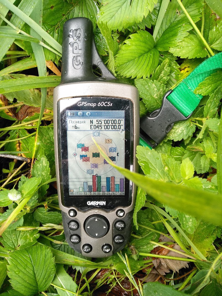 GPS reading