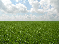 #3: View to the south
