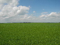 #4: View to the west