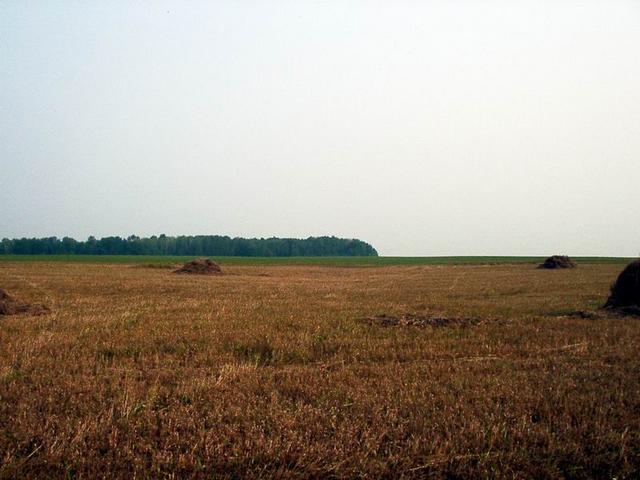 Point between piles of straw