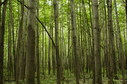 #2: South view