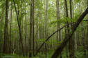 #3: West view