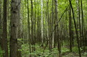#4: North view