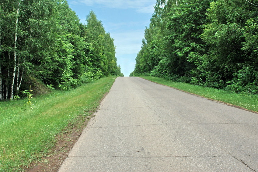 North view