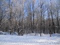 #3: East view