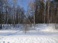 #5: West view