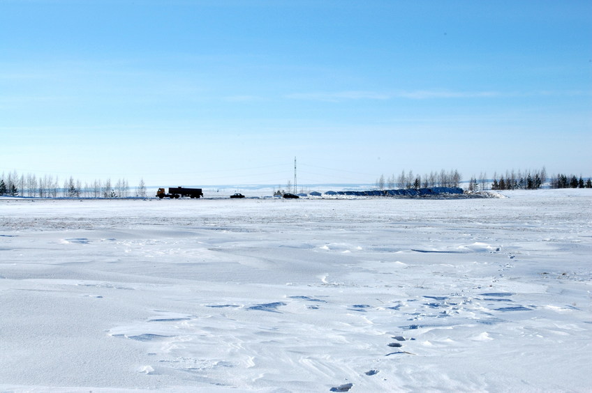 Visible road from forest belt/Вид на дорогу от лесополосы